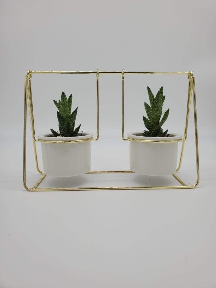 Decorative White Porcelain Plant Pots on a Gold Swing-Perfect for Succulents, Cactuses and Small Plants