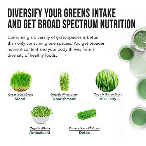 Organic 5 Grass Juice Blend 20x Potency, Raw, ColdPressed