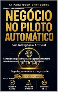 Livro IA PARA QUEM EMPREENDE: Como usar inteligência artificial para organizar, automatizar e crescer seu pequeno negócio sem contratar ninguém