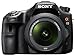 Sony SLT-A65V 24.3 MP Translucent Mirror Digital SLR With 18-55mm Lens