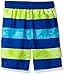 The Children's Place Baby Boys' Rashguard and Swim Trunks Set
