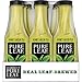 Pure Leaf Iced Tea, Not Too Sweet, Real Brewed Honey Green Tea, 18.5  Fl Oz, Pack of 12