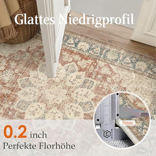 PureCozy Vintage Alfombra Salon 160x230cm Rojo Azul Habitacion Alfombras Lavable Antideslizante Grande Tapete Dormitorio Pie de Cama Sala Comedor Carpet Pelo Corto Rug