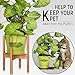 Mid-Century Modern Indoor Plant Stand – 8 9 10 11 12 in Plant Stand – Wooden Plant Holder – Fig Plant Stand Holder – Adjustable Indoor Plant Pot Wood Stand – 8in 12in Plant Standthumb 2