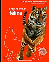 Petits et grands félins
