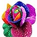 Homedeco 100 Seeds Rare Holland Rainbow Rose seed Flowers Lover colorful Home Garden plants rare rainbow rose flower seeds