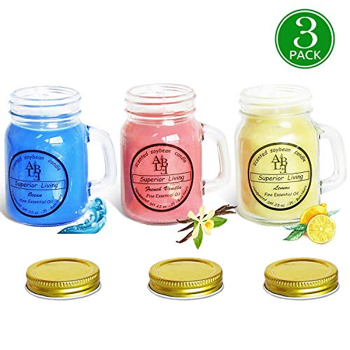 HELLY 3 Pack Everyday Assortment Mini Scented Mason Jar Candles – 3.5 Oz French Vanilla, 3.5 Oz Lemon, 3.5 Oz Ocean