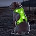 BSEEN Light Up Dog Harness - No Pull LED Dog Harness - Rechargeable LED Dog Vest - Lighted Dog Walking Harness for Small Medium Large Dogs (Green, Small)