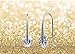Swarovski Earrings for Women Dangle Drop Earrings Swarovski Round Cut 0.85 Carat Clear Crystals 6mm Brass Hook Earrings