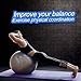 CPOKOH Exercise Ball,Anti Burst and Slip Resistant Yoga Ball,Swiss Ball,Fitness Ball,Ab Exercise Ball,Gym Ball,Workout Ball,Body Balance Ball, with Foot Pump(Silver,75cm)