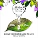 Herbal Essences, Conditioner with Natural Source Ingredients, BioRenew Cucumber & Green Tea, 13.5 Fl Oz (Pack of 2)