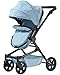 TRIOKID 2 in 1 Deluxe Baby Doll Stroller Sportline X1 Blueberry Blue Drawable Fabric with Swiveling Wheels & Adjustable Handle