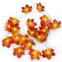 UTC Global Fall Maple Leaf String Light 20 LED 7.5 ft Waterproof Maple Leaf String Lights 3AA Battery Powered Lighted Garland for Party Thanksgiving Decor