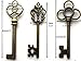 Honbay Mixed Set of 30 Large Skeleton Keys in Antique Bronze - Set of 30 Keys