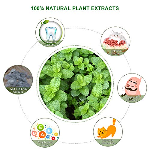 Idepet Catnip Toy for Cat, Catnip Ball Edible Kitty Toy Interactive with Octopus Shape Design Improve Appetite and Digest