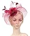 Urban CoCo Women's Elegant Flower Feather and Veil Fascinator Cocktail Party Hair Clip Hat (Wine red)
