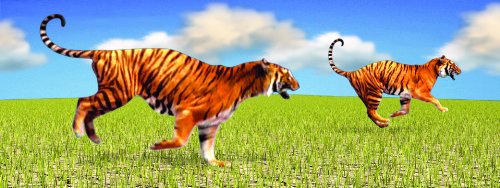 3-D Motion Tigers Bookmark with 6" Ruler