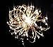 HOPDAY LED String Lights, Copper Wire Lights for Seasonal Decorative Gardens Christmas Holiday Wedding Parties Home Bedroom –Warm White (100 LEDs 33 ft, Low Voltage Plug)