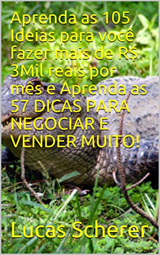 Aprenda as 105 Ideias para você fazer mais de R$ 3Mil reais por mês e ...