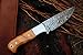 DKC Knives (20 5/18) DKC-511 Trail Blazer Fixed Blade Damascus Steel Hunting Knife Olive Wood Burl Handle 9