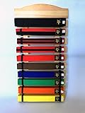 Ten Level Martial Arts Karate Taekwondo Judo Belt Display Holder hand made quality (thicker) wood nice finished