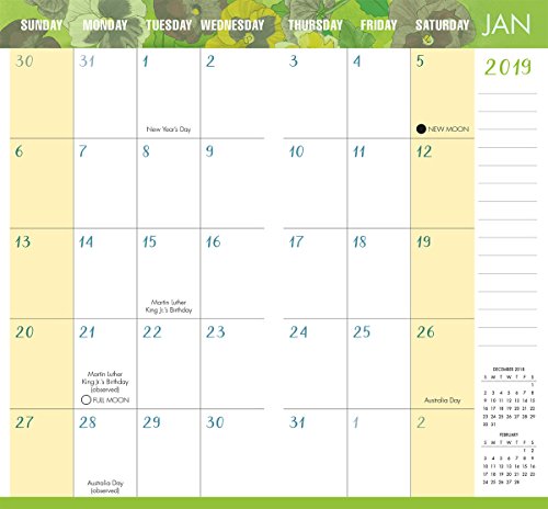 2019 Seize the Day Two-Year-Plus Pocket Planner: by Sellers Publishing, 3.5 x 6.5; (CC-0555)