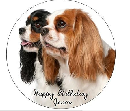 spaniel birthday cake