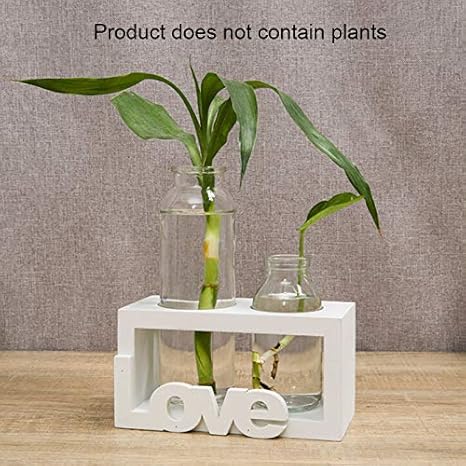 Buy Toyfun Container Hydroponic Glass Countertop Vase Diy