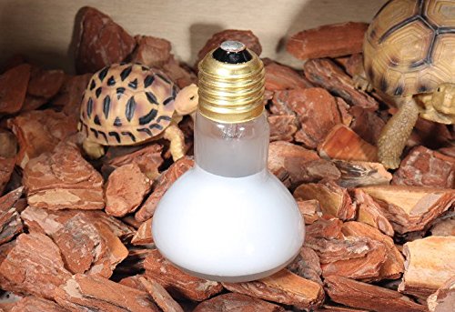 CTKcom 100 Watt UVA Pet Heating Lamp(2 Pack),R85 Day Light UVA Basking Heat Spot Lamp,UVA Reptile Heat Bulb for Turtle Aquarium Aquatic Reptile Lizard Heat Lighting E26/E27,110V,2 Pack - Thumbnail 7