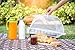GIDABRAND (4 Pack) Luxury Mesh Food Covers for Outdoors | Large Pop-Up Food Cover Tents | Highly Durable Picnic Food Covers | Easy to Use Food Umbrella | Keep Flies Away with This Outdoor Food Covers