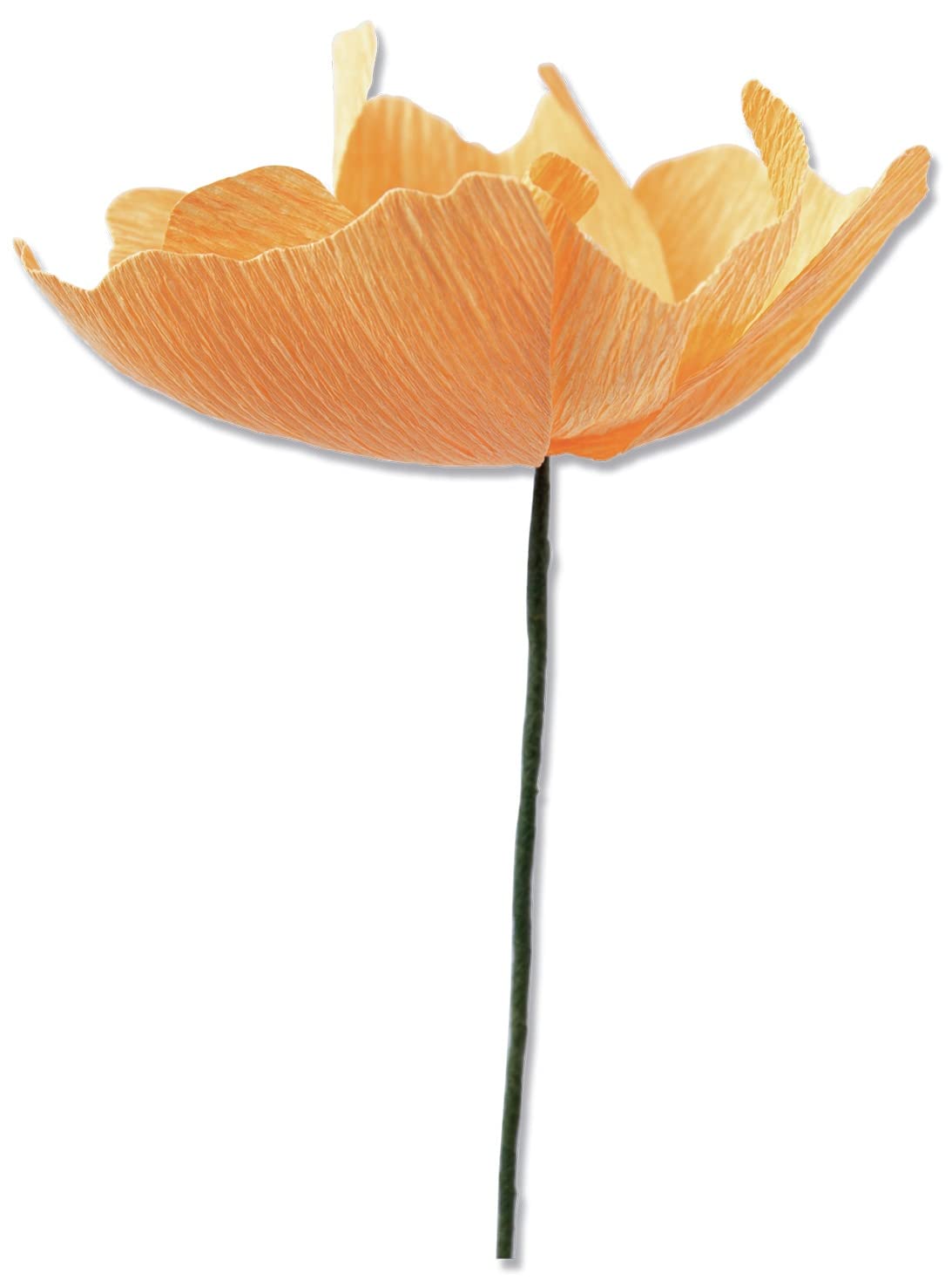 Sizzix Thinlits Flower Making Collection Die Set 5PK, California Poppy, one Size