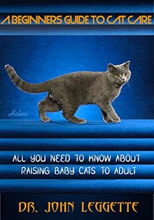 cat care for beginners