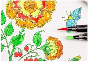 مجموعة ألوان مائية بلون موح د مكونة من 36 لون ا مع طقم فرش للرسم المائي لوازم فنية Amazon Ae