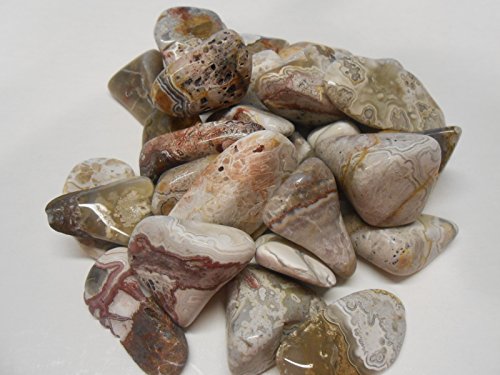Rock Tumbler Gem Refill Kit Mexican Crazy Lace Agate Rough 8oz
