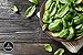 Naturevibe Botanicals Basil Leaves (100gm) [Packaging may vary]