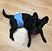 In hand Washable Durable Male Dog Diapers(Pack of 3), Premium Reusable Belly Bands Belly Wrap for Male Dog, Comfy Doggie Diapers
