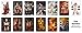 Sensual Goddess Playing Cards - Poker Size