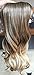 17 Inches 120grams Synthetic One Piece Half Head Wavy Curly Ombre Clip in Hair Extensions(Col. Ash brown/sandy blonde))