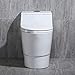 WOODBRIDGE B0735 B-0735, Dual Flush Elongated One Piece Soft Closing Seat, Comfort Height, White, Modern Toilet T-0018