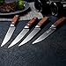PAUDIN 4.5 Inch Steak knives, 4-Piece Steak knife set, German High Carbon Stainless Steel Dinner Knives Serrated, Rosewood Handle Rust Resistant and Durable