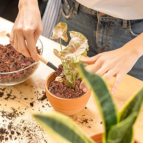 Legigo Organic Orchid Potting Bark All Natural Orchid Bark Potting Mix