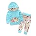 Baby Girls Floral Hoodie+ Floral Pant Set Leggings 2 Piece Outfits