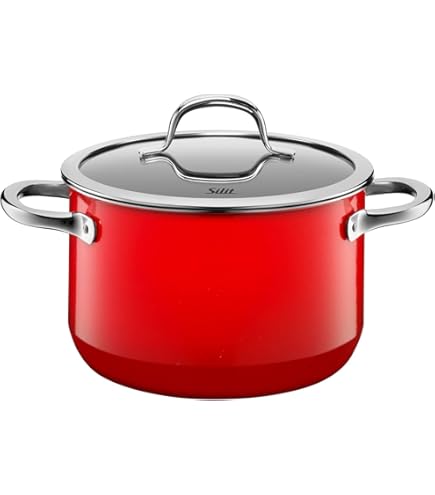 0176 [ドイツ製]silit silargan / シラルガン 鍋 Amazon.com: Silit Pot Ø 20 cm Approx. 2.4L Passion Red Pouring Rim