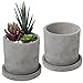 Set of 2 Modern 4-Inch Gray Unglazed Cement Succulent Planter Pots with Removable Saucer primary