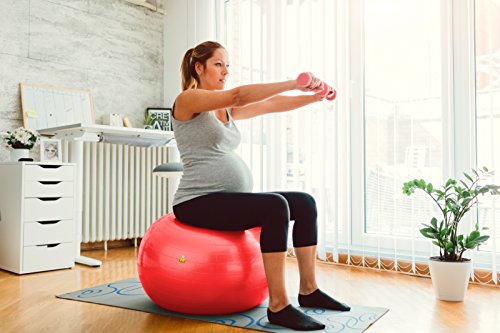 Exercise Ball Stability Fitness Balls | Best Professional Balance Anti-Burst Set – Yoga Large Thick Gym Ball With Pump & Accessories, Extra Pin For Valve, Elastic Loop & Hard Cover Workout Guide…