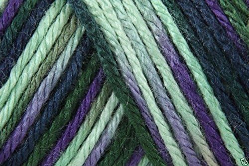 Caron Simply Soft Paints Acrylic Aran Knitting Wool Yarn 113.4g -0019 Passion
