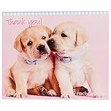 Rachael Hale Glamour Dogs Party Supplies - Thank-You Notes (8)