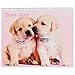 BirthdayExpress Rachael Hale Glamour Dogs Party Supplies - Thank-You Notes (8)