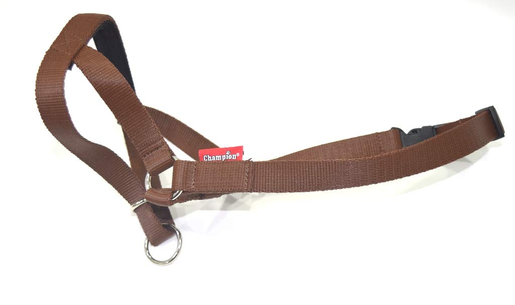 Headcollar Dog Halter/Training Head Collar Training Tool Dog, Head Harness to Stop Pulling on the Lead, Easy to Use, Padded Nose Band, Adjustable (2, Brown)