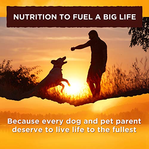 Nature's Recipe Adult Dog Food Dry, Lamb Meal & Rice Recipe, 15-Pound (Packaging may vary) - Thumbnail 6